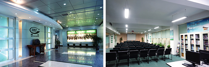 贝斯特 - 全球最奢华的游戏平台