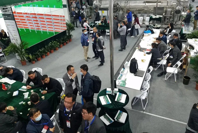 贝斯特 - 全球最奢华的游戏平台