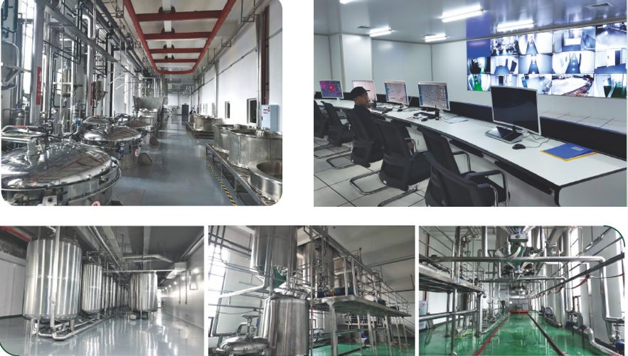 贝斯特 - 全球最奢华的游戏平台